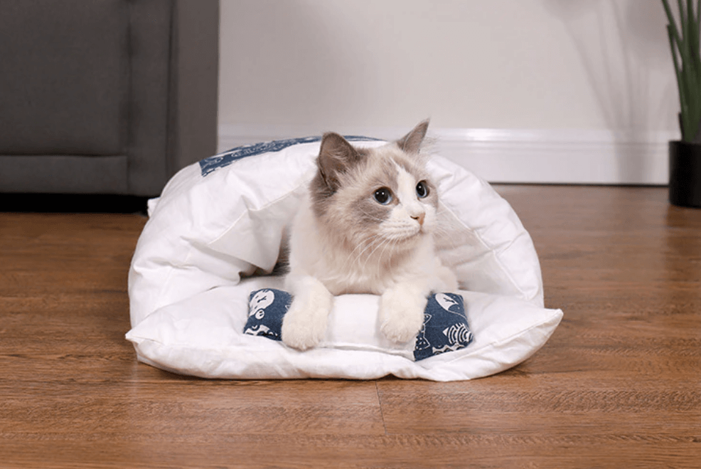 Kattsovepose