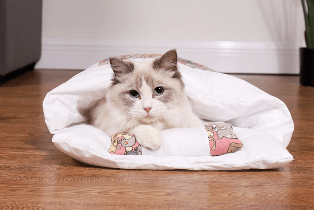 Kattsovepose