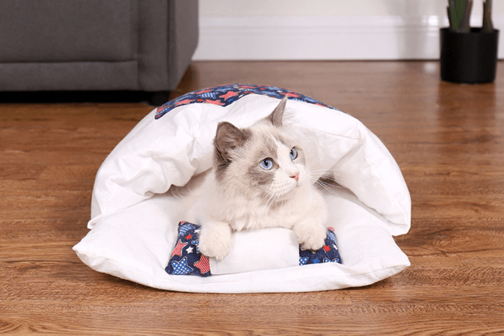 Kattsovepose