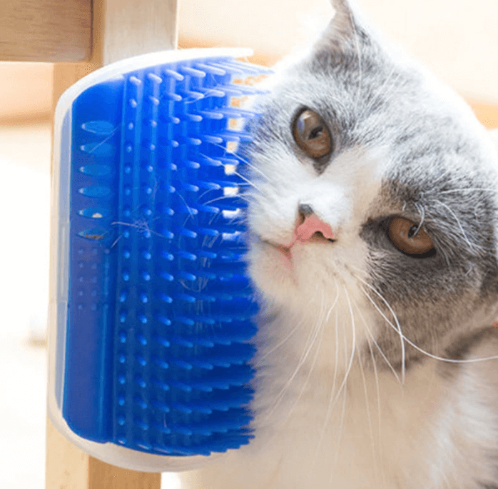 Kattenhoek Groomer