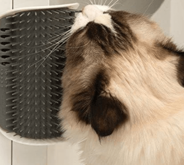 Kattenhoek Groomer