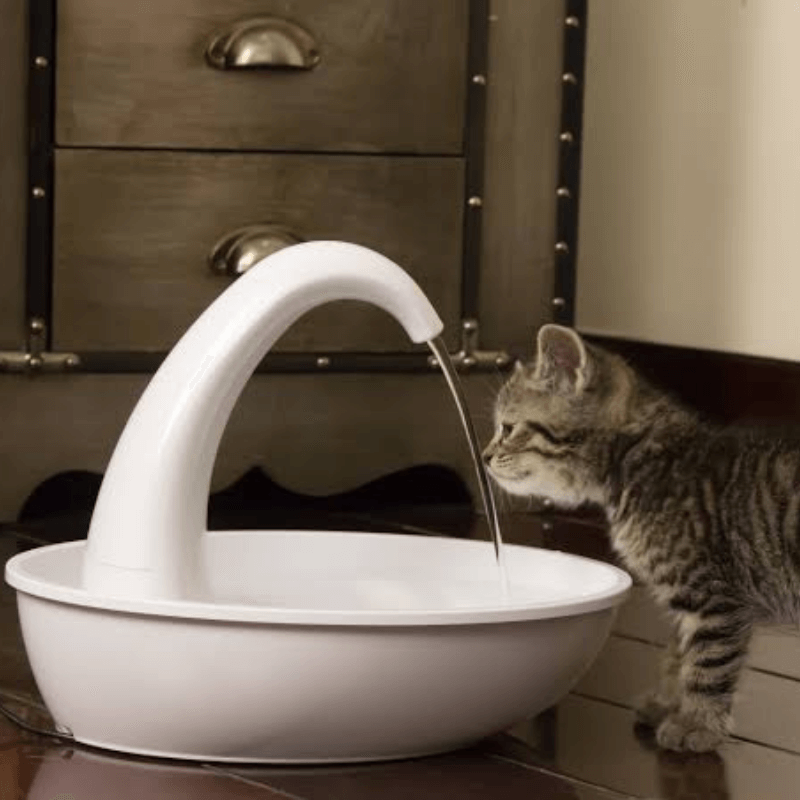 Premium automatisk drikkefontene til katter
