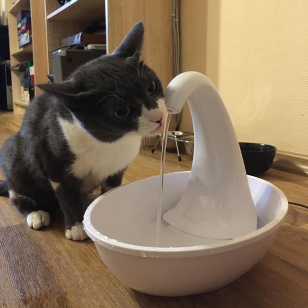 Premium automatisk drikkefontene til katter