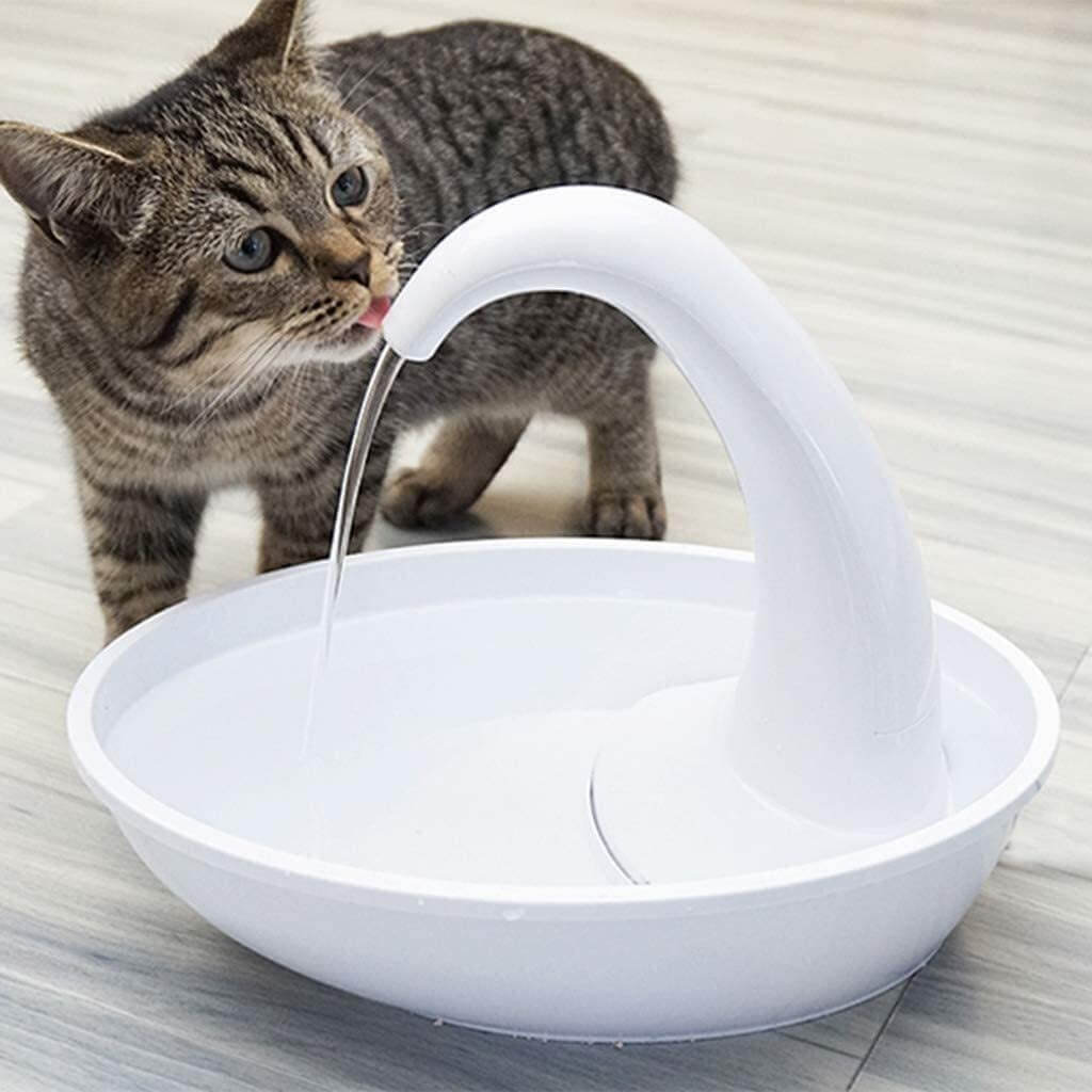 Premium automatic drinking fountain for cats