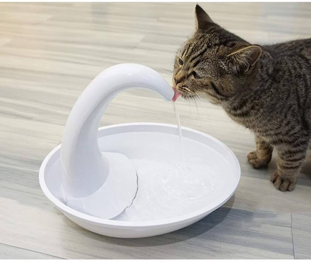 Premium automatisk drikkefontene til katter