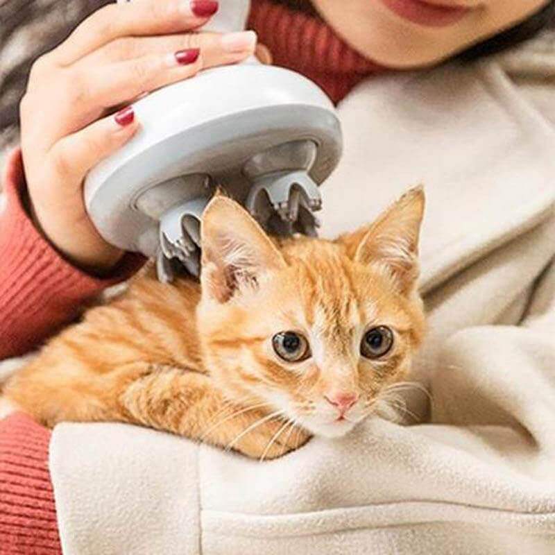 Electric Cat Head Massager