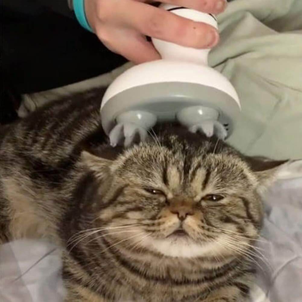Electric Cat Head Massager
