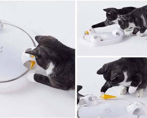 Pounce Cat Toy