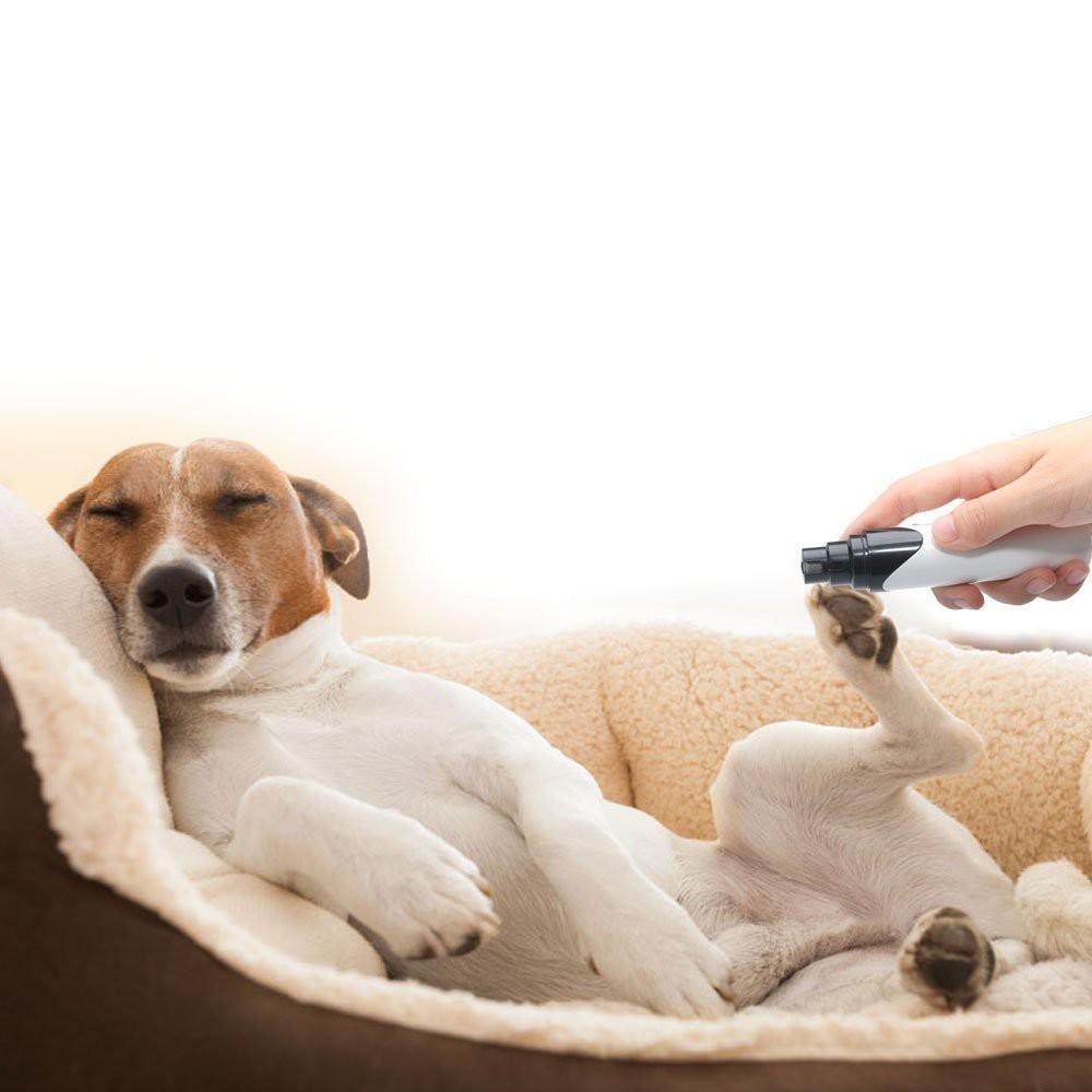Electric Dog Nail Clippers