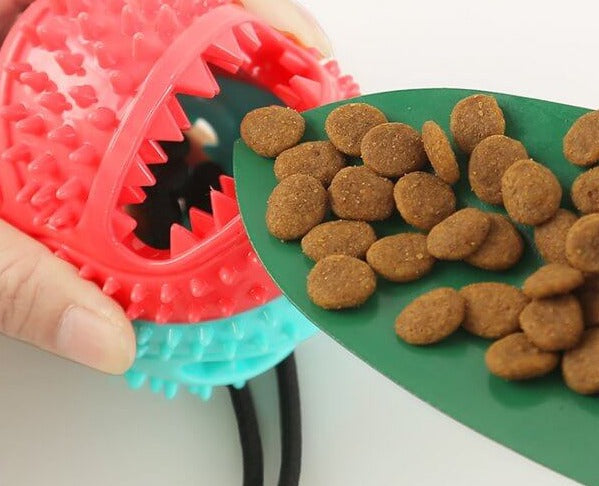 Interactive Dog Chewing Toy