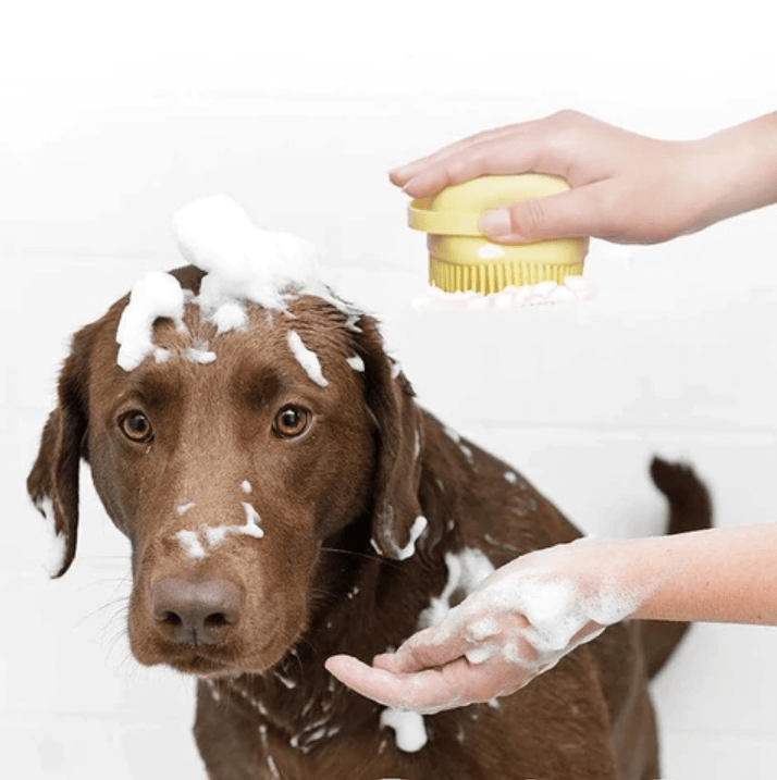 Hundebadebørste