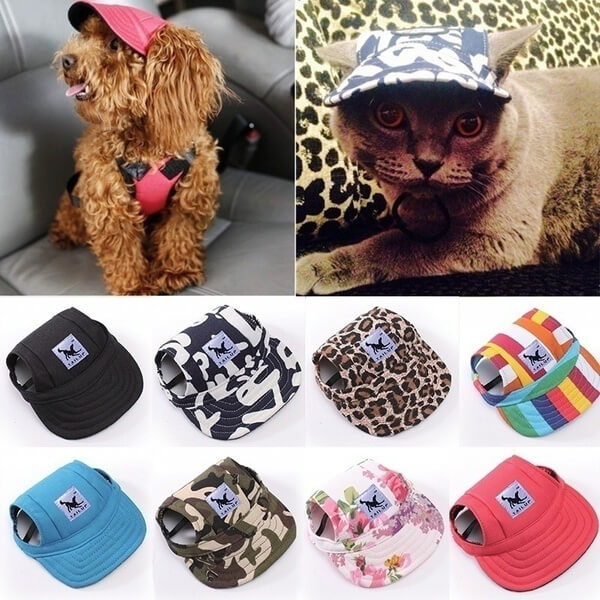 Round Brim Dog Cap