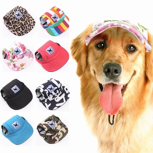 Round Brim Dog Cap