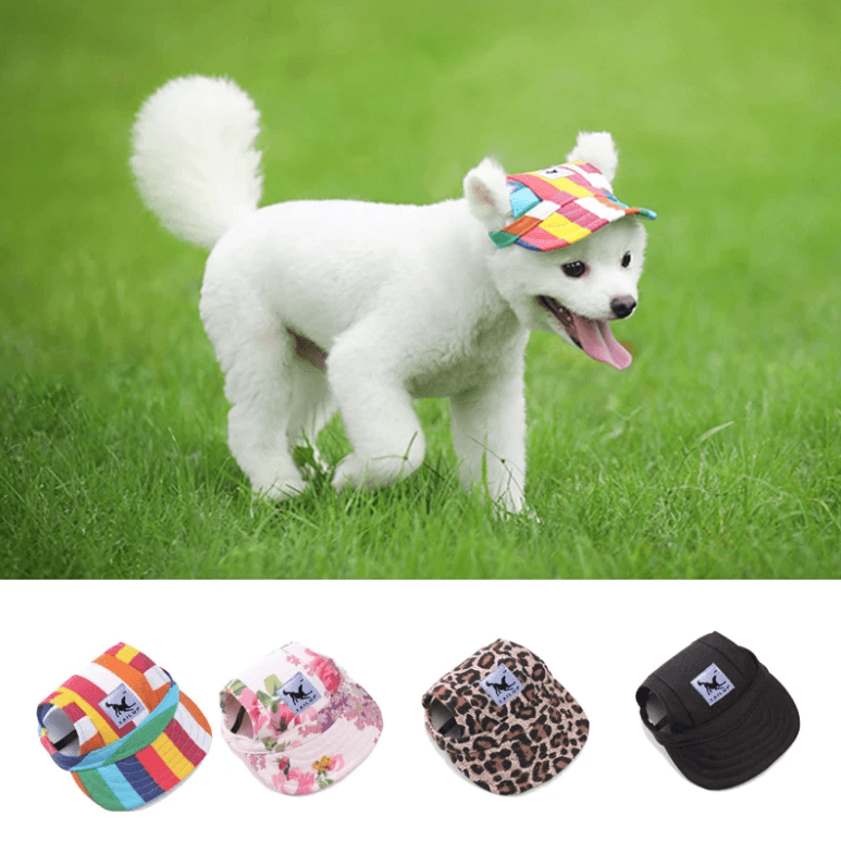 Round Brim Dog Cap