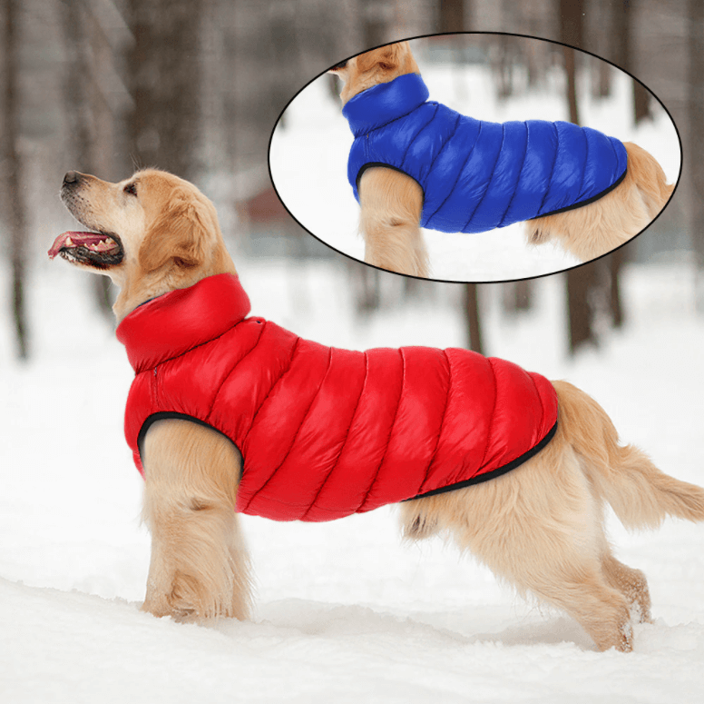 Reversible Dog Puffer Jacket