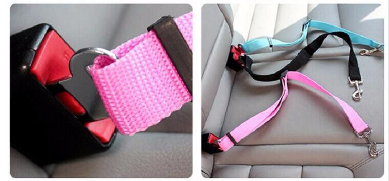 Dog Car Seat Belt