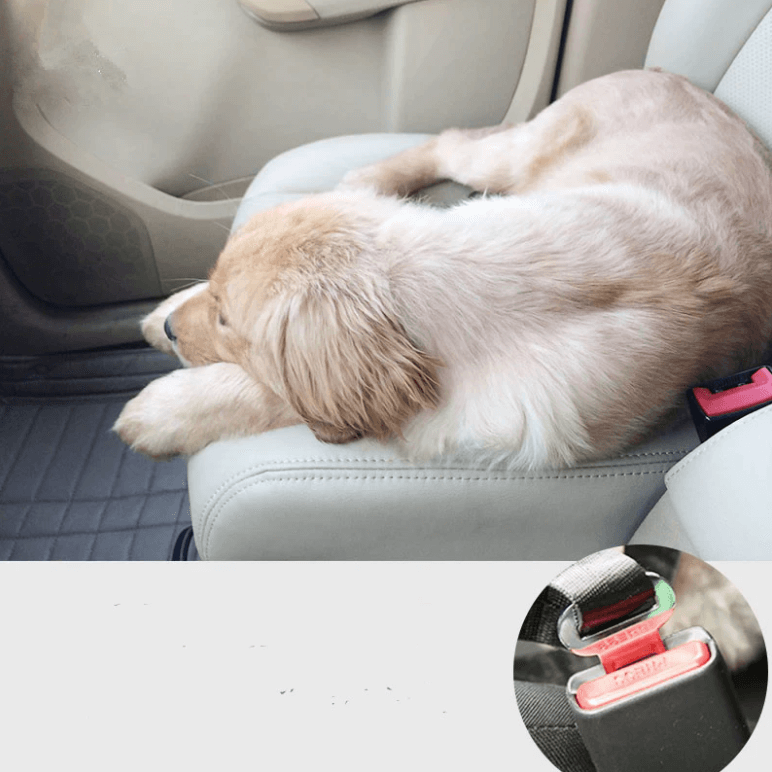 Dog Car Seat Belt