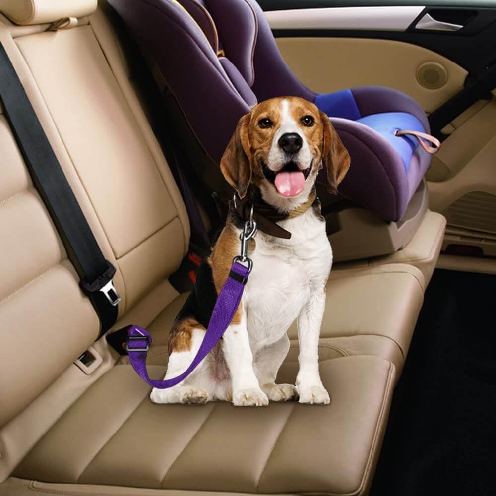 Dog Car Seat Belt