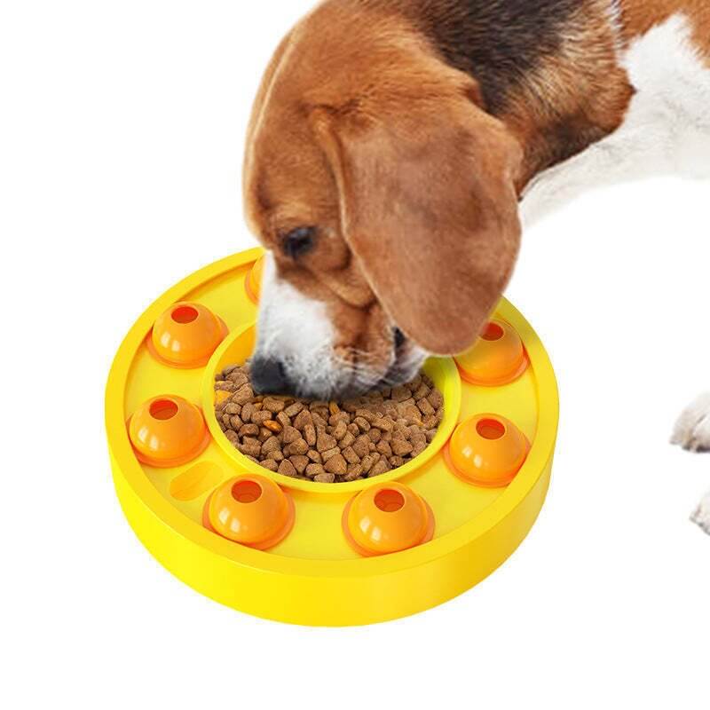 Wisdom Dog Toy | Slow Leak Feeding Training