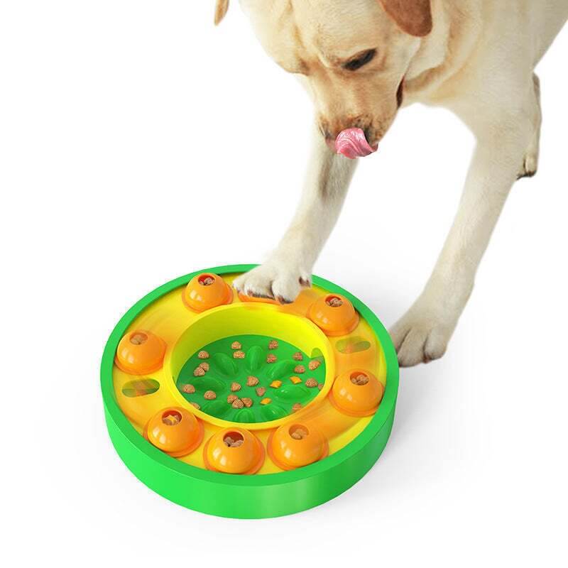 Wisdom Dog Toy | Slow Leak Feeding Training
