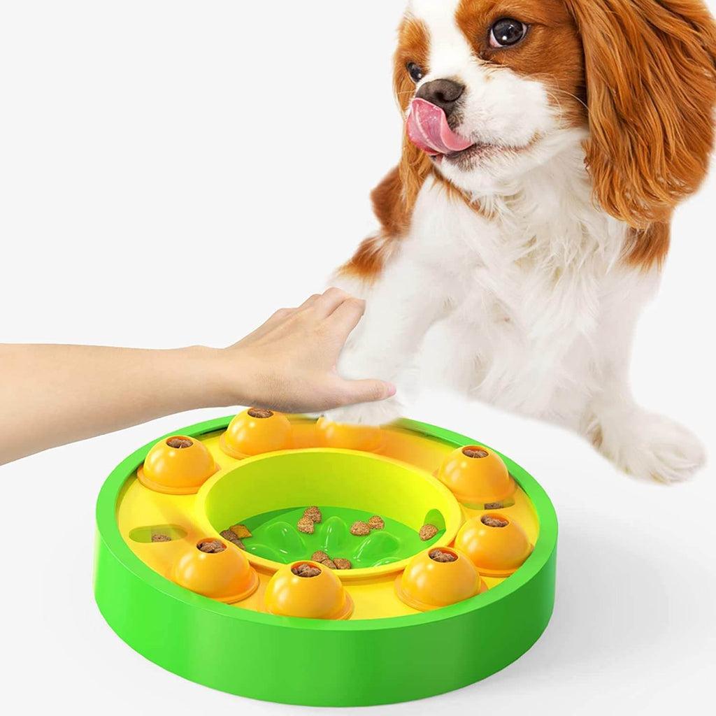 Wisdom Dog Toy | Slow Leak Feeding Training