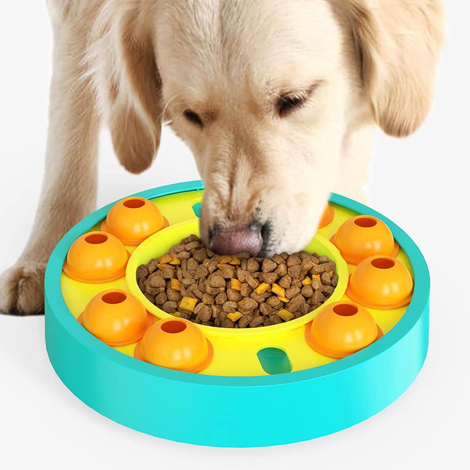 Wisdom Dog Toy | Slow Leak Feeding Training