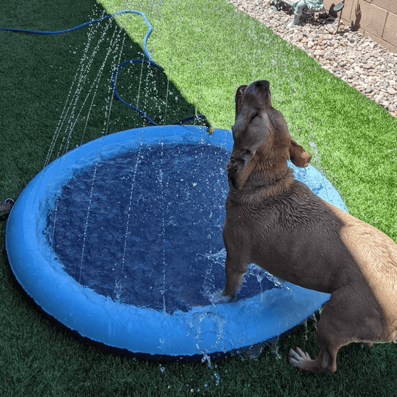 Dog Sprayer Pad