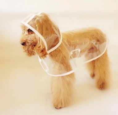 Dog Waterproof Transparent Raincoat