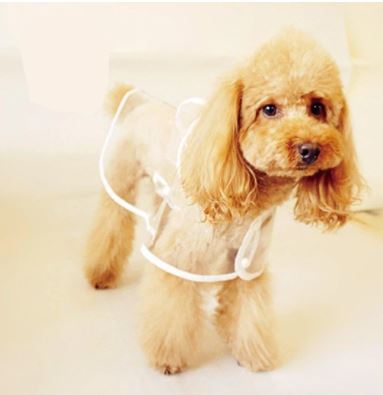 Dog Waterproof Transparent Raincoat