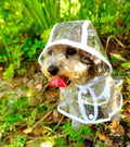 Vanntett gjennomsiktig regnfrakk til hund