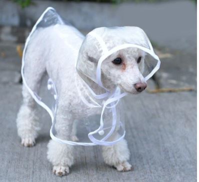 Vanntett gjennomsiktig regnfrakk til hund