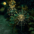 Firework Fairy Light