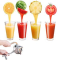 Portable Fruit Juice Machine