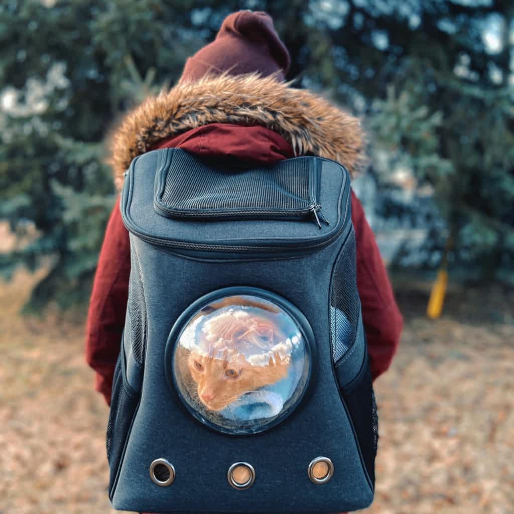 Pet travel basket