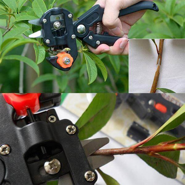 Garden Grafting Tool