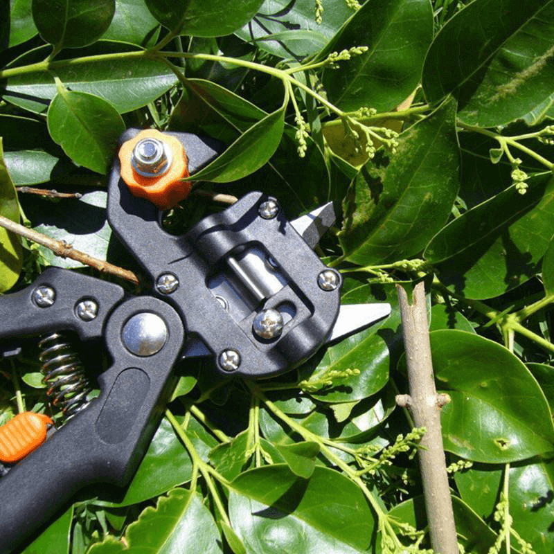 Garden Grafting Tool