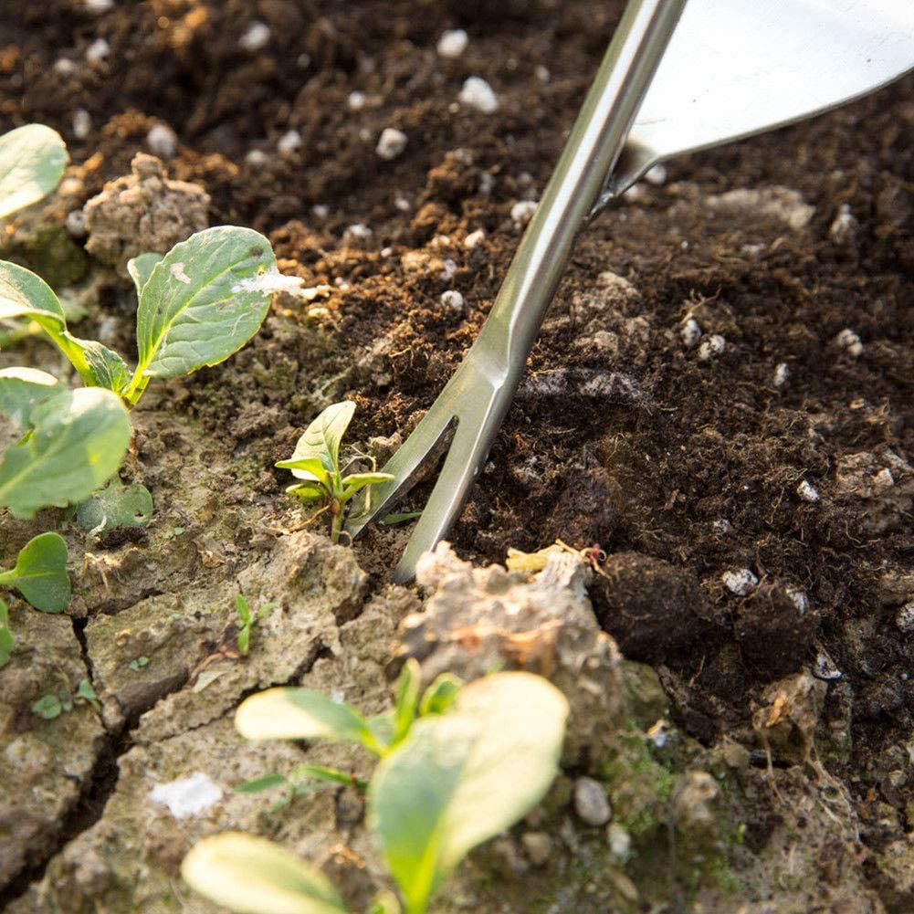 Handy weed weeder
