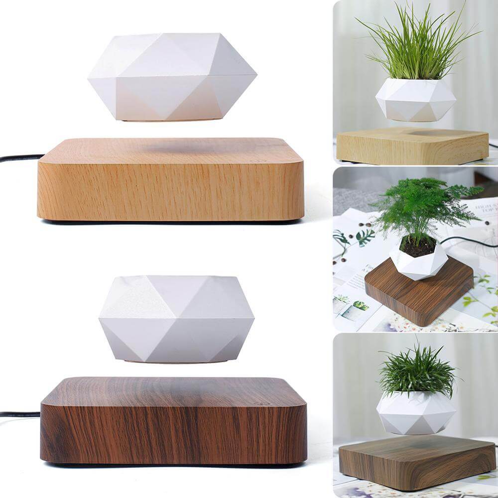 Lifting Air Bonsai Pot