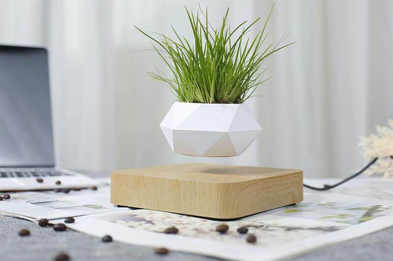 Lifting Air Bonsai Pot