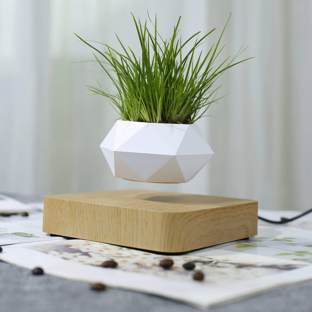 Lifting Air Bonsai Pot
