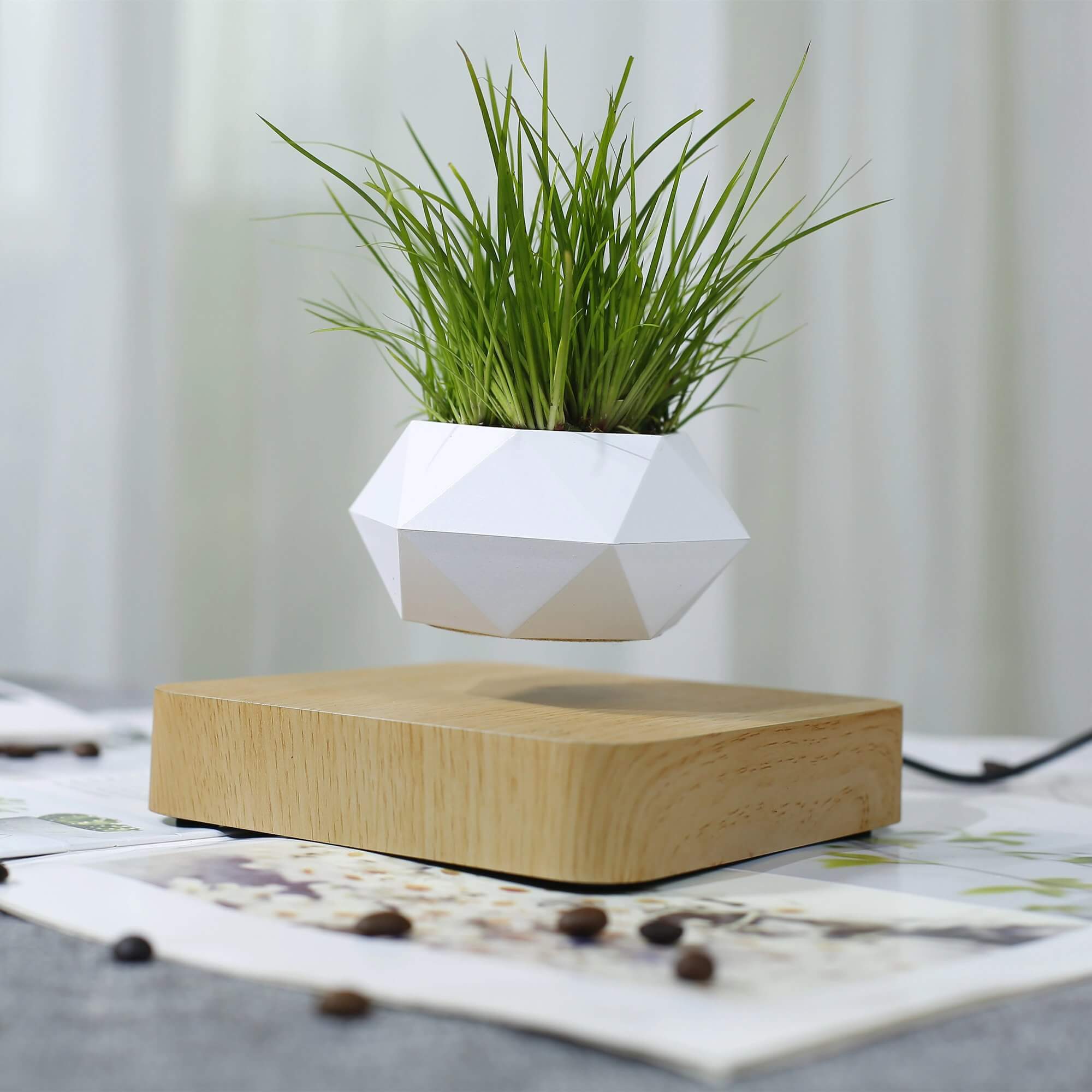 Lifting Air Bonsai Pot
