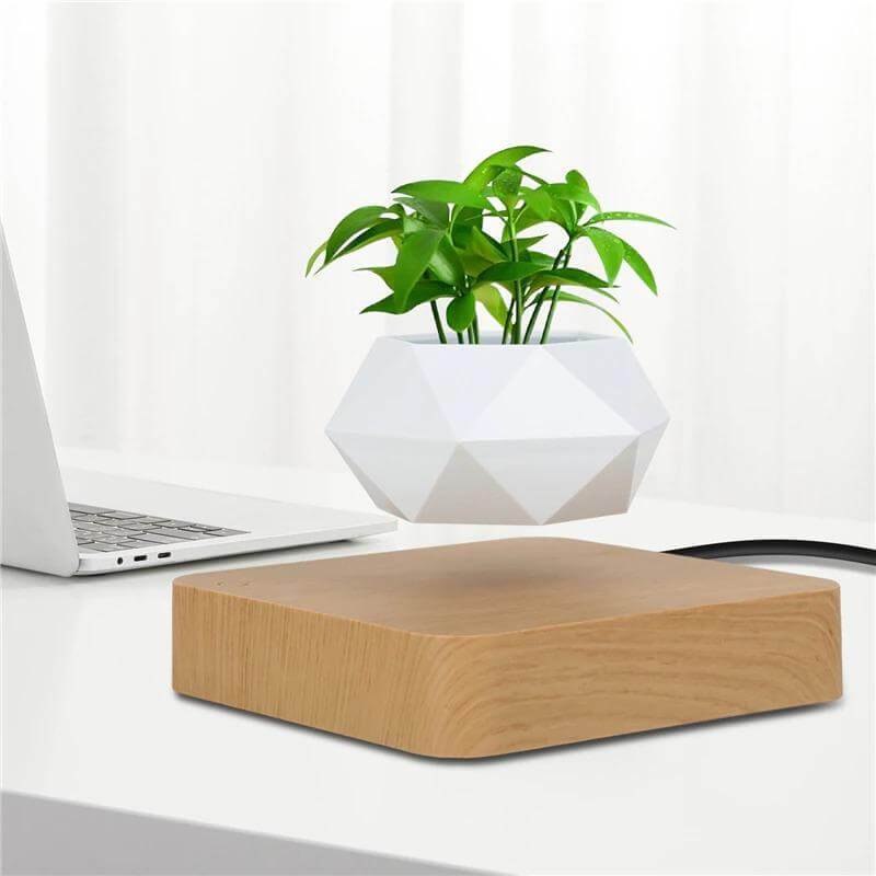 Lifting Air Bonsai Pot