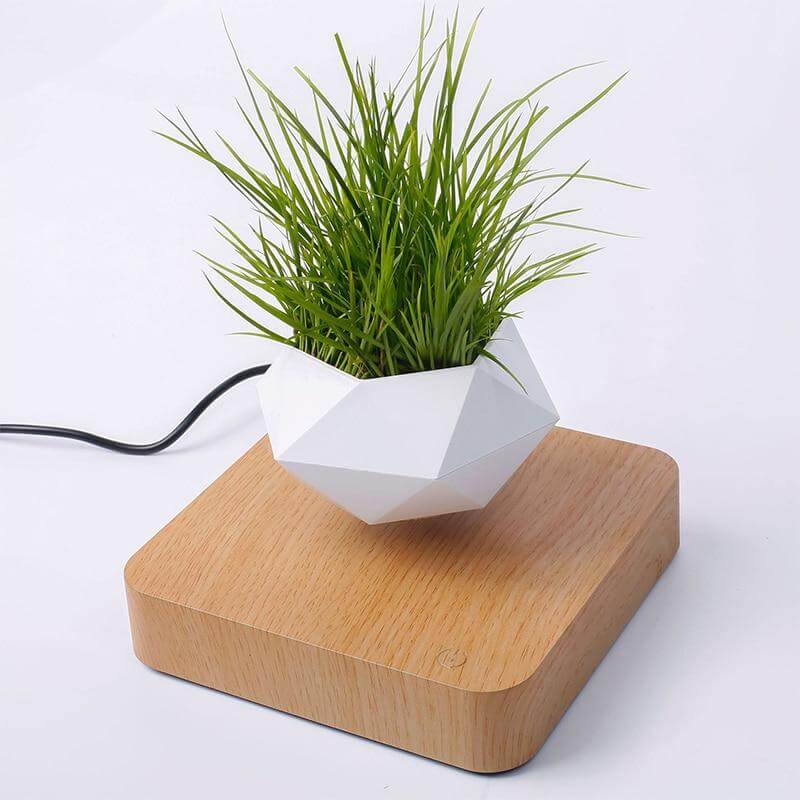 Lifting Air Bonsai Pot