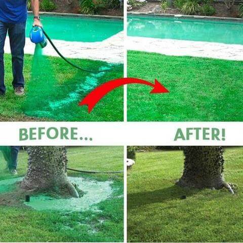 Green Grass Lawn Spray