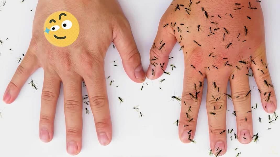 Natural Mosquito Plasters