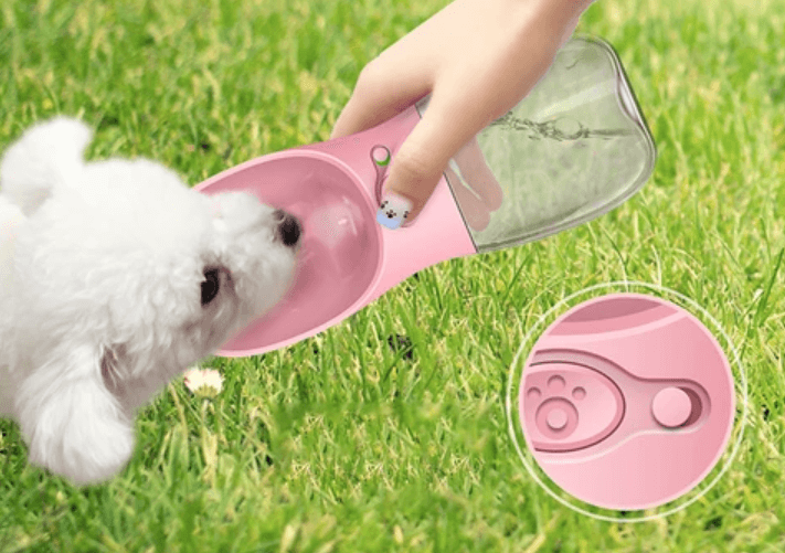 Outdoor Pet Water Bottle