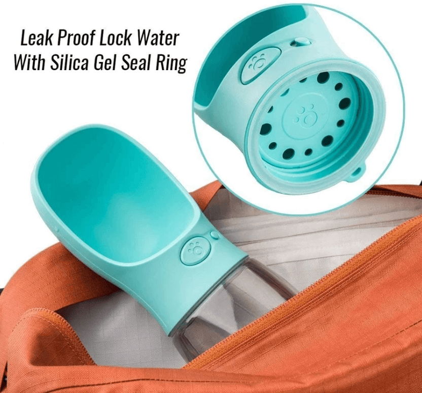 Outdoor Pet Water Bottle