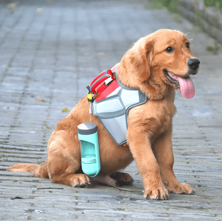 Outdoor Pet Water Bottle