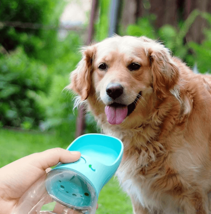 Outdoor Pet Water Bottle