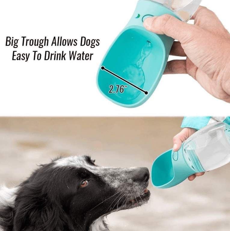 Outdoor Pet Water Bottle